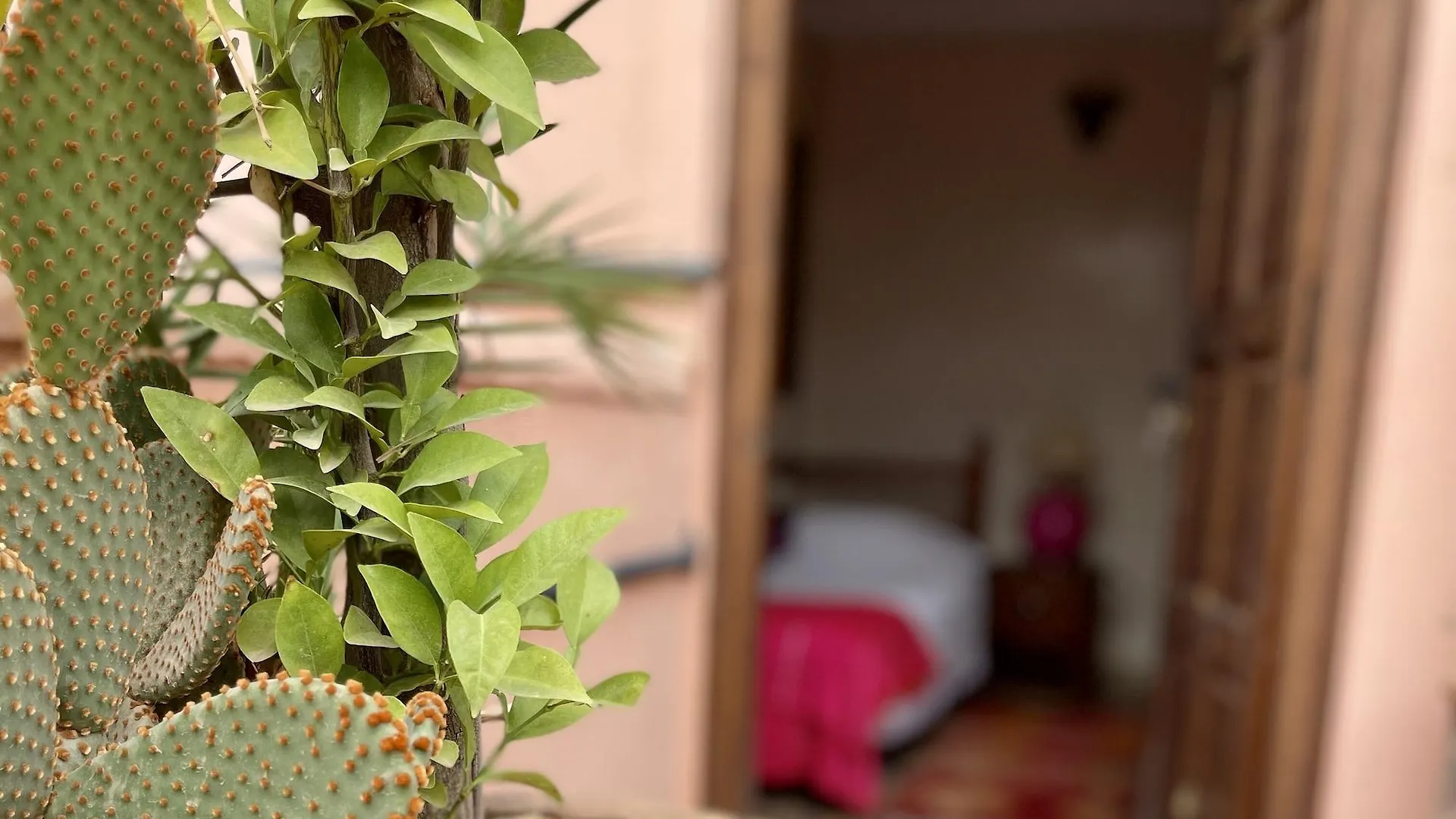 Riad Elias & Spa Marrakesh