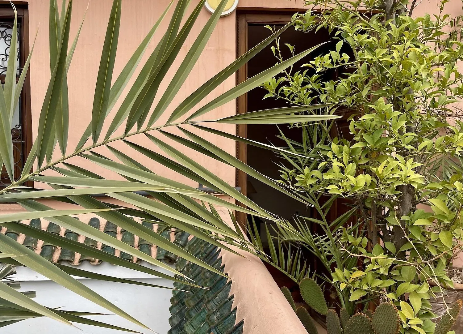 Riad Elias & Spa Marrakesh 4*,  Morocco